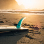 Top Surfboards: Why Every Surfer Needs